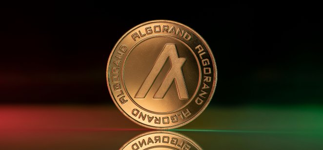 Arrington Capital apuesta por 100 millones de dólares en Algorand blockchain