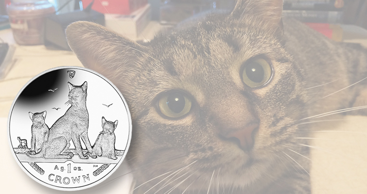 2016-isle-of-man-silver-havana-cat-lead