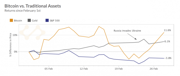 A medida que los novatos en criptomonedas capitulan, ¿el BTC será menos arriesgado?