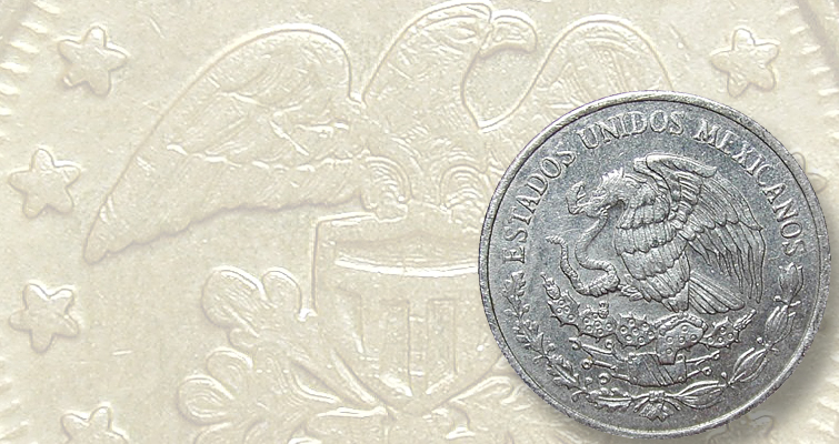 bird-money-finds-lead