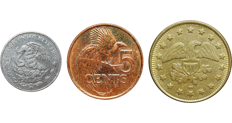 bird-money-merged