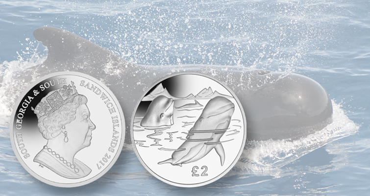 El calderón nadará en la moneda de 2 libras de 2017 de la Casa de la Moneda de Pobjoy El calderón nadará en la moneda de 2 libras de 2017 de la Casa de la Moneda de Pobjoy