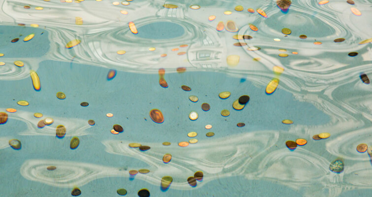 Piggy Bank la tortuga que se comió 915 monedas muere