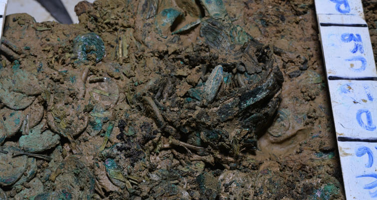 celtic-coin-hoard-jersey