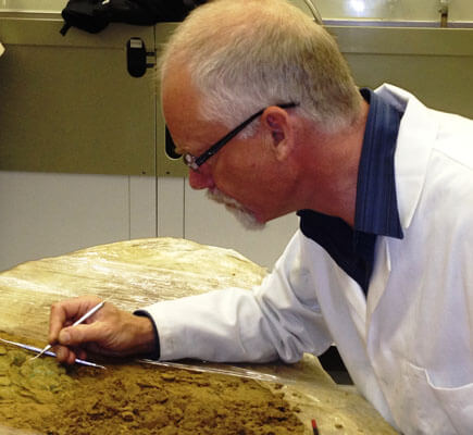 El mayor tesoro de monedas celtas del mundo se separa por fin