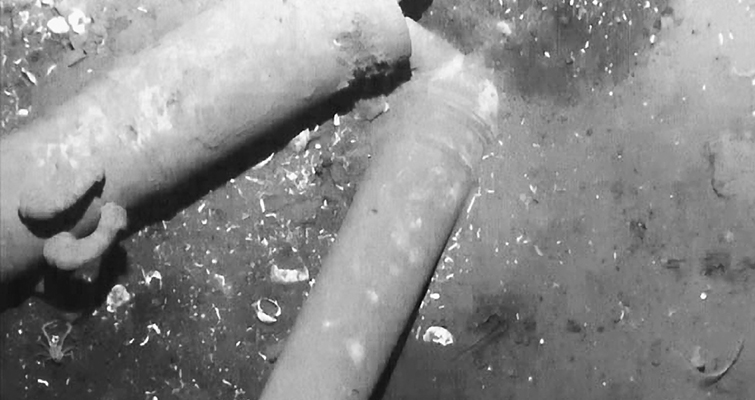 two-cannons-from-san-jose-wreck