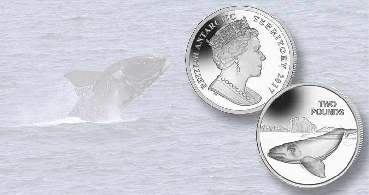 La Casa de la Moneda de Pobjoy conmemora la ballena franca austral La Casa de la Moneda de Pobjoy conmemora la ballena franca austral