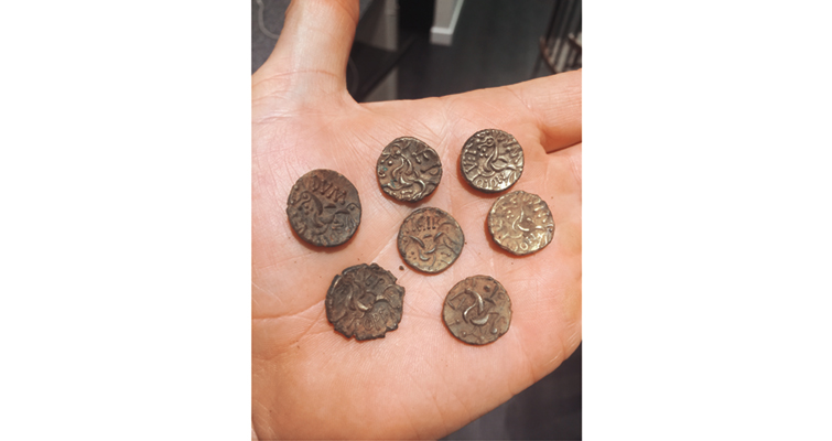 gold-staters