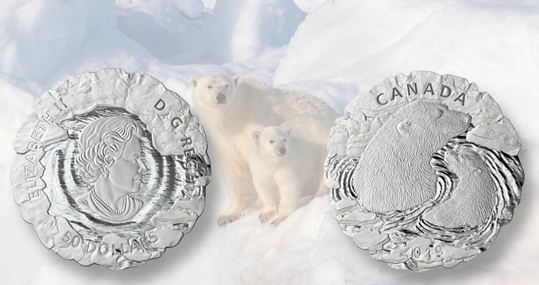 Oso polar, cachorro en una moneda de plata de forma única