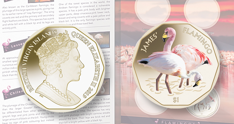 Pobjoy emite la segunda moneda de la serie del flamenco