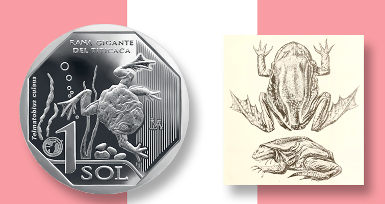Perú completa la serie conmemorativa de fauna silvestre en circulación
