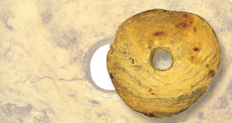 Piedras de Yap y dineros extraños y curiosos ofrecidos en la venta de ANA