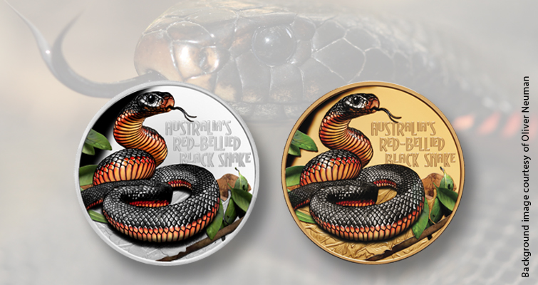 Las nuevas monedas Deadly & Damp; Dangerous presentan una serpiente negra venenosa