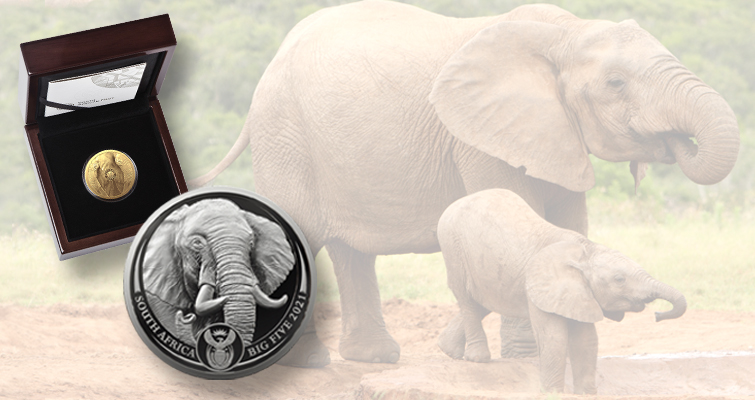 Sudáfrica comienza la segunda serie de los 5 grandes metales preciosos