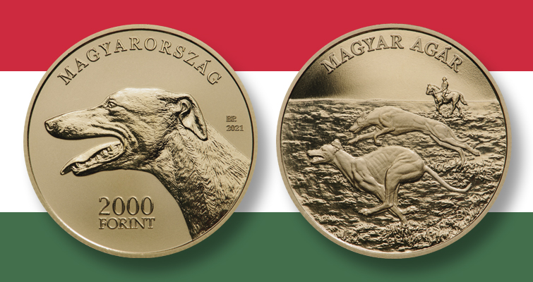 Hungría suelta a los sabuesos en una serie continua