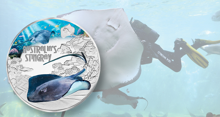 La raya se ofrece en la serie de monedas Deadly & Damp; Dangerous de Perth