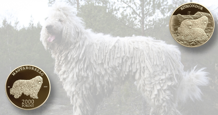 El perro pastor húngaro hace guardia en la cara de la nueva moneda El perro pastor húngaro hace guardia en la cara de la nueva moneda