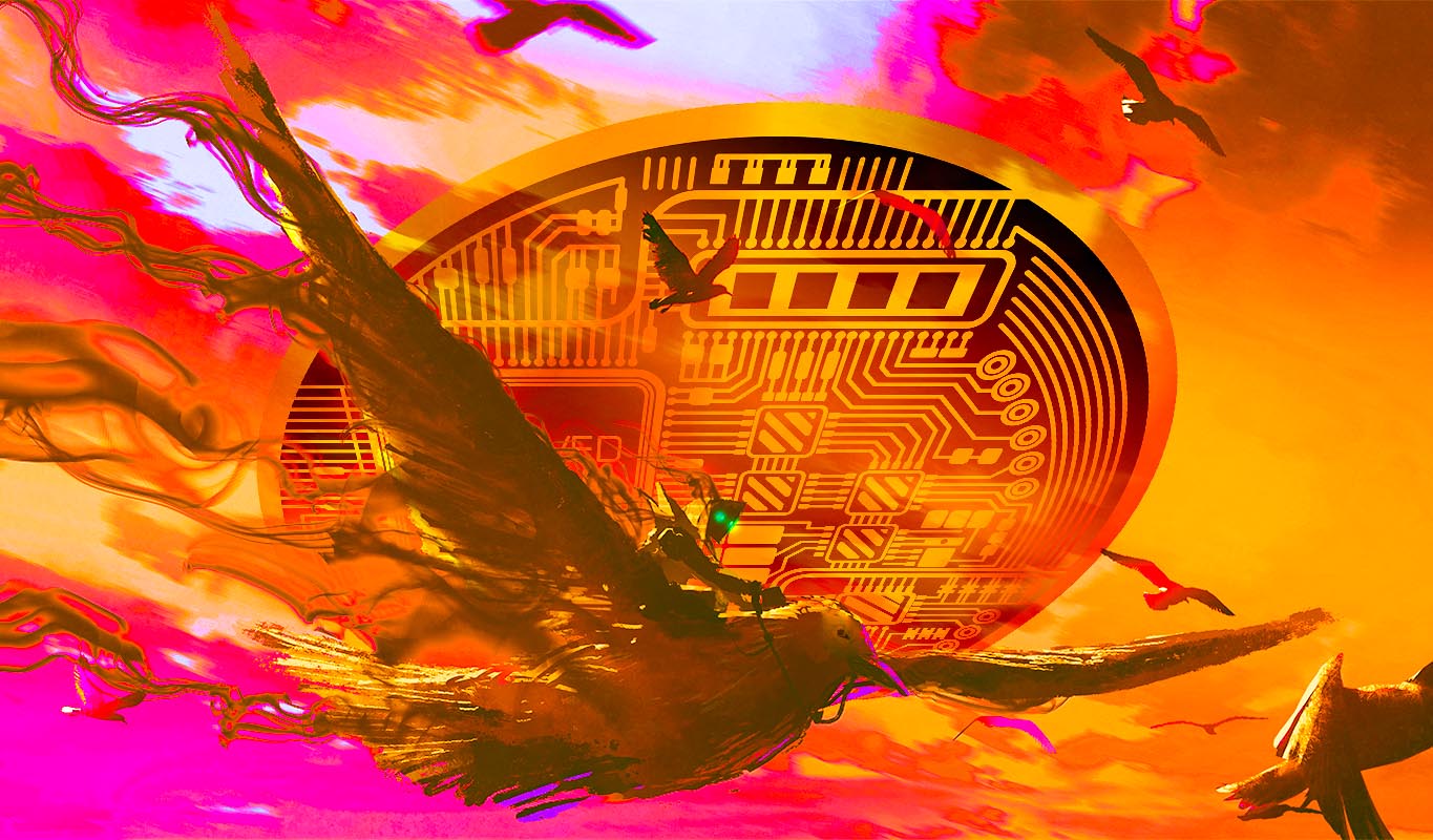 El inversionista macro Raoul Pal dice que está duplicando su posición en criptomonedas ante el colapso del mercado