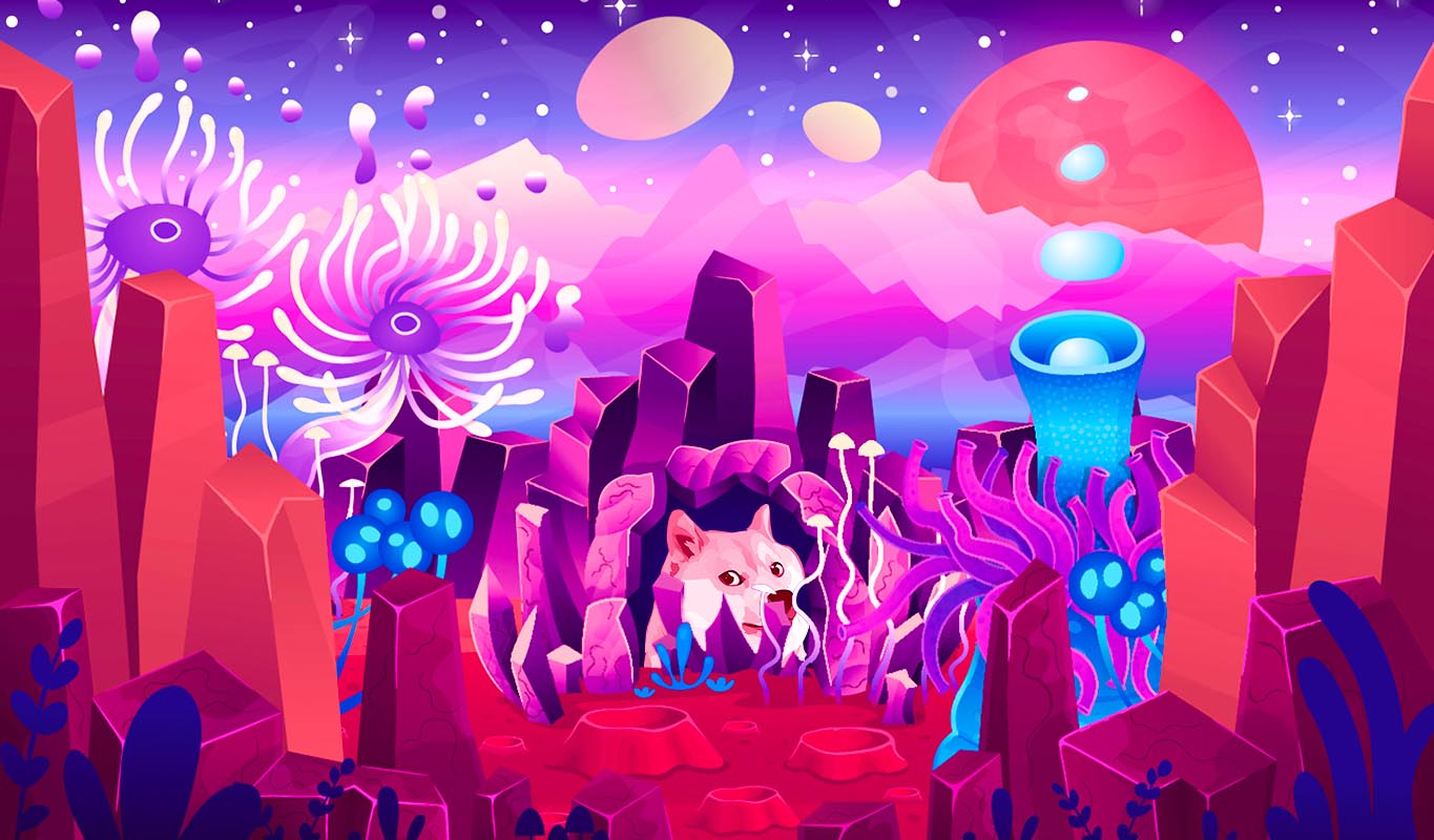 Elon Musk reitera su apoyo a Dogecoin después de enfrentar una demanda criptográfica de USD 258 000 000 000 Elon Musk reitera su apoyo a Dogecoin después de enfrentar una demanda criptográfica de USD 258 000 000 000