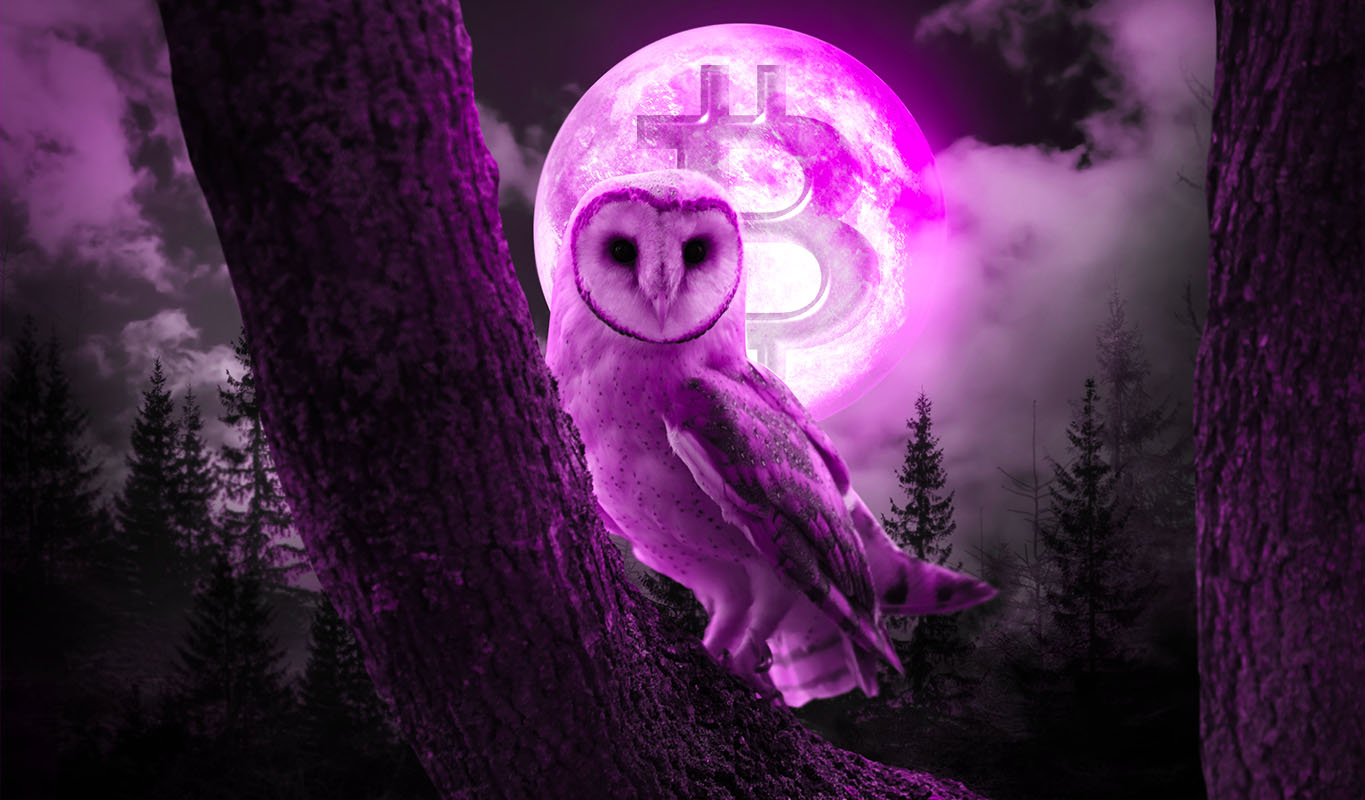 Los inversores institucionales acuden en masa a la seguridad de Bitcoin ya que las altcoins casi no ven flujos de capital: CoinShares